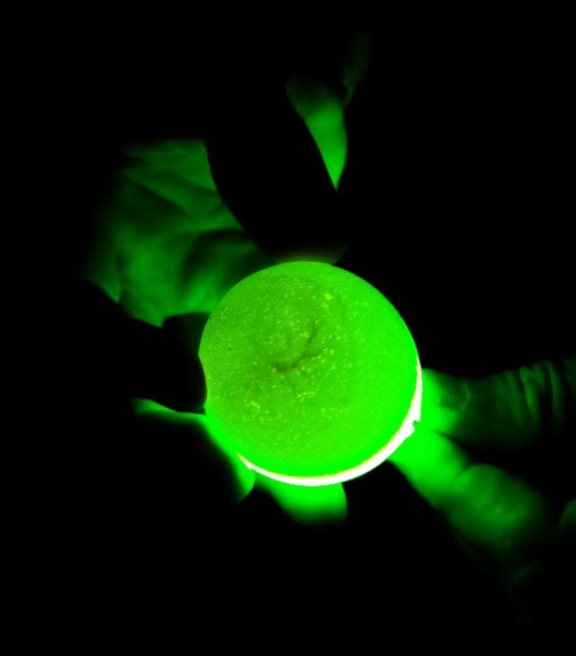 Embryo Detection — Vision & ML